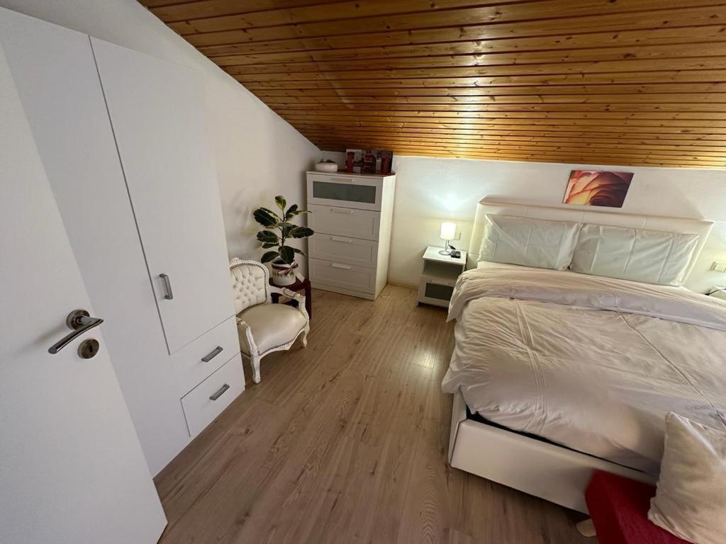 Plose Panorama House Apartment Bressanone Exterior photo